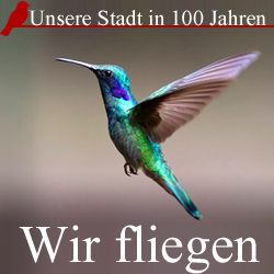 fliegender Kolibri